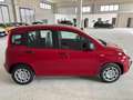 Fiat Panda Panda 1.0 firefly hybrid s&s 70cv 5p ti Rouge - thumbnail 3