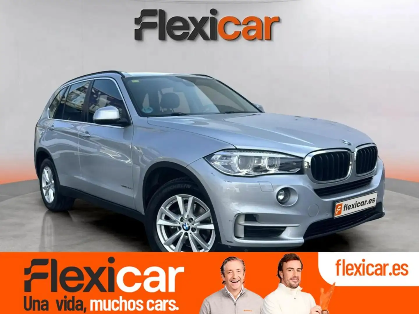 BMW X5 sDrive25d Gris - 1