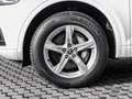 Audi Q5 Sport 50TDI quattro Tiptronic XENON+NAVI+AHK bijela - thumbnail 9