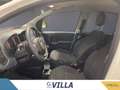Fiat Panda 1.0 firefly hybrid s&s 70cv 5p.ti Bianco - thumbnail 13