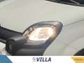 Fiat Panda 1.0 firefly hybrid s&s 70cv 5p.ti Bianco - thumbnail 6