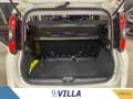 Fiat Panda 1.0 firefly hybrid s&s 70cv 5p.ti Bianco - thumbnail 15