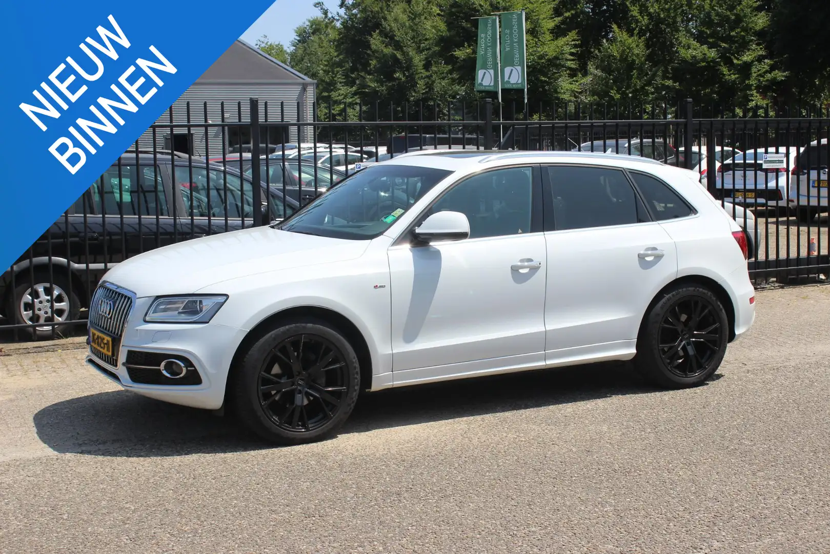 Audi Q5 2.0 TDI Adrenalin Sport, 2x S-Line Bianco - 1