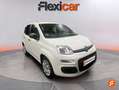 Fiat Panda Hybrid 1.0 Gse 51kw (70CV) Blanc - thumbnail 11