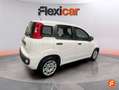 Fiat Panda Hybrid 1.0 Gse 51kw (70CV) Blanc - thumbnail 8