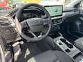 Ford Focus 1,5l EcoBlue Titanium #RFK #GJR #EasyParki  Titani - thumbnail 11