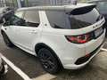 Land Rover Discovery Sport 2.0 td4 HSE awd 150cv Autocarro prezzo +iva 22% - thumbnail 6