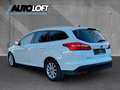 Ford Focus Turnier Titanium ZAHNRIEM NEU/PDC/2H./SHZ Weiß - thumbnail 4