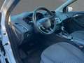 Ford Focus Turnier Titanium ZAHNRIEM NEU/PDC/2H./SHZ Wit - thumbnail 15
