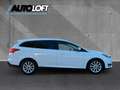 Ford Focus Turnier Titanium ZAHNRIEM NEU/PDC/2H./SHZ Weiß - thumbnail 7