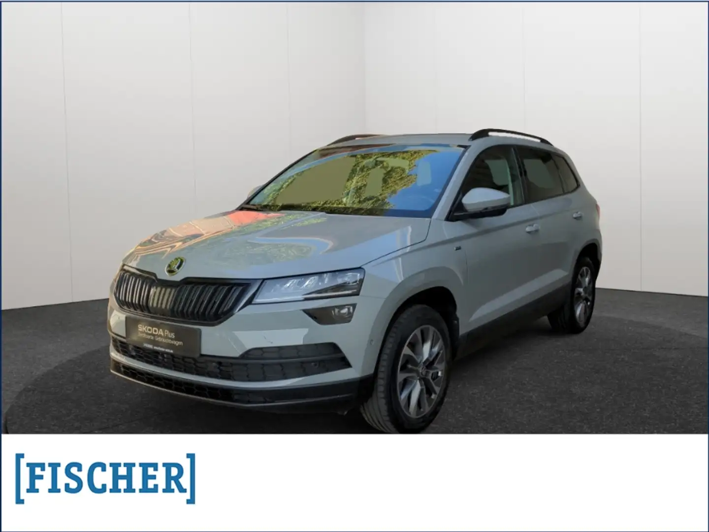 Skoda Karoq 1.5TSI DSG Clever LED Navi AHK Rear View Grau - 1