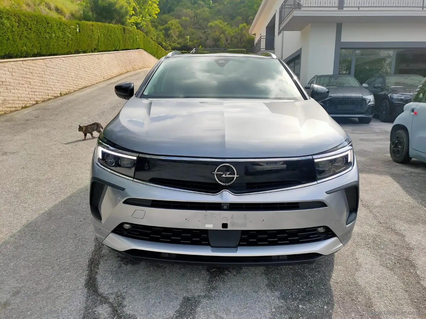 Opel Grandland X 1.5 D Ecotec aut. Ultimate Gris - 2