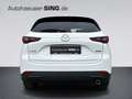 Mazda CX-5 Advantage Automatik Head-Up Keyless 360°LED White - thumbnail 4