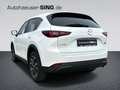 Mazda CX-5 Advantage Automatik Head-Up Keyless 360°LED White - thumbnail 3
