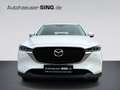 Mazda CX-5 Advantage Automatik Head-Up Keyless 360°LED White - thumbnail 8