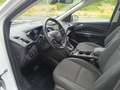 Ford Kuga 2.0TDCI Auto S&S Titanium 4x4 Aut. 150 Weiß - thumbnail 11