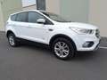 Ford Kuga 2.0TDCI Auto S&S Titanium 4x4 Aut. 150 Weiß - thumbnail 4