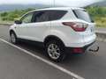 Ford Kuga 2.0TDCI Auto S&S Titanium 4x4 Aut. 150 Weiß - thumbnail 9