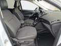 Ford Kuga 2.0TDCI Auto S&S Titanium 4x4 Aut. 150 Weiß - thumbnail 15