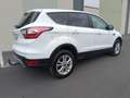 Ford Kuga 2.0TDCI Auto S&S Titanium 4x4 Aut. 150 Weiß - thumbnail 6