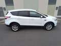 Ford Kuga 2.0TDCI Auto S&S Titanium 4x4 Aut. 150 Weiß - thumbnail 5