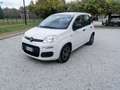 Fiat Panda Panda 1.2 Pop omologata 5 posti in ( PROMO ) Blanc - thumbnail 4