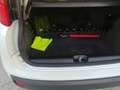 Fiat Panda Panda 1.2 Pop omologata 5 posti in ( PROMO ) Blanc - thumbnail 10