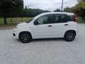 Fiat Panda Panda 1.2 Pop omologata 5 posti in ( PROMO ) Blanc - thumbnail 3