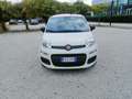 Fiat Panda Panda 1.2 Pop omologata 5 posti in ( PROMO ) Blanc - thumbnail 5