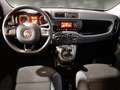Fiat Panda Panda 1.2 Pop omologata 5 posti in ( PROMO ) Blanc - thumbnail 8