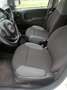 Fiat Panda Panda 1.2 Pop omologata 5 posti in ( PROMO ) Blanc - thumbnail 13