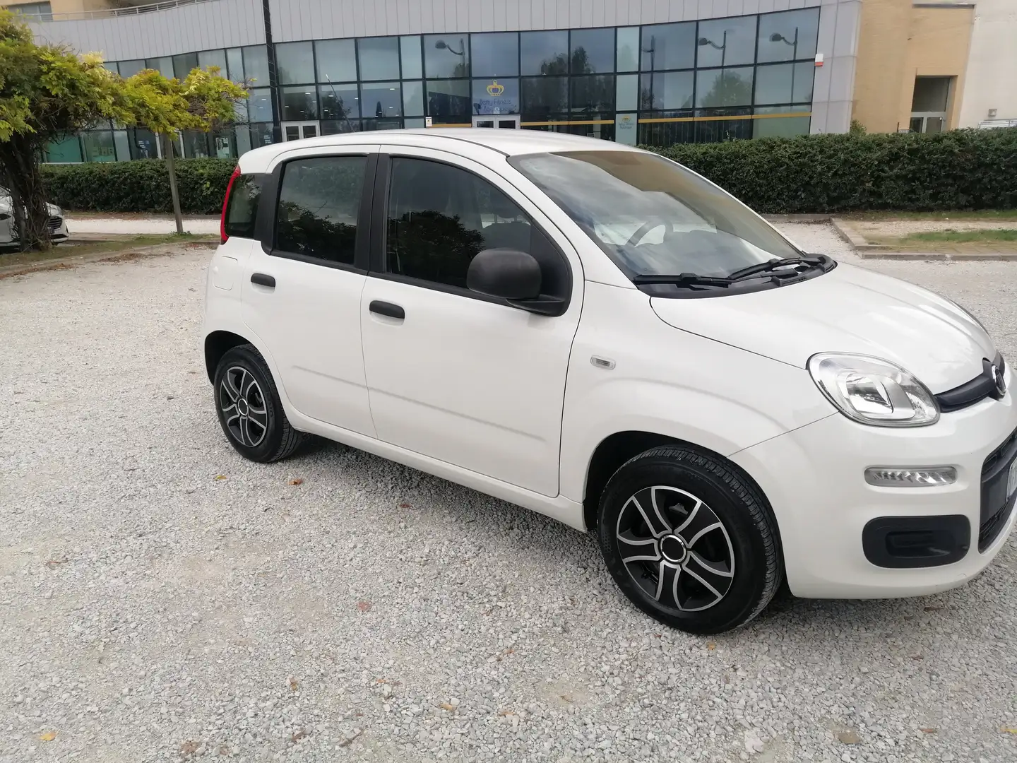 Fiat Panda Panda 1.2 Pop omologata 5 posti in ( PROMO ) Blanc - 2