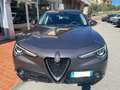 Alfa Romeo Stelvio Stelvio 2.2 Turbodiesel 210 CV AT8 Q4 Business Grigio - thumbnail 1