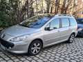 Peugeot 307 SW mit Panoramadach Beige - thumbnail 1