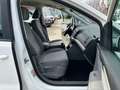 SEAT Alhambra 1.4 TSI Style Bi-Xenon Temp PDC MFL Alu Weiß - thumbnail 13