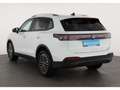 Volkswagen Tiguan 2.0 TDI Life DSG AHK/LED/NAV/ACC/RFK/SH Weiß - thumbnail 5