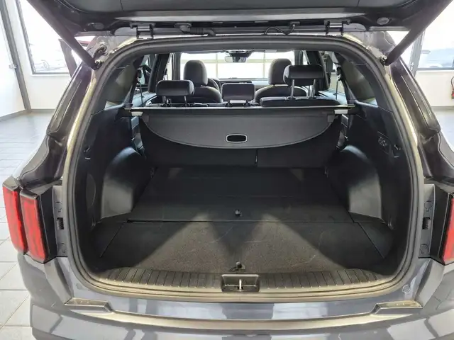 Kia Sorento view 6