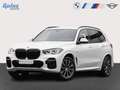 BMW X5 xDrive40d (2019 - 2023) Weiß - thumbnail 1