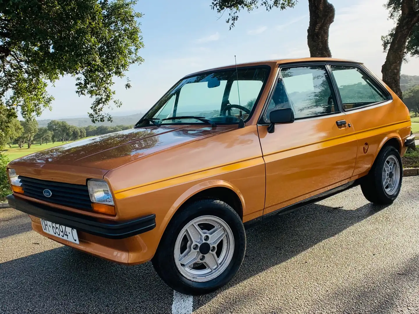 Ford Fiesta 1100s Gold - 1