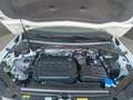 Volkswagen Tiguan Allspace R-Line (NAVI.Head-Up.AHK.DAB.PDC.SHZ.LED-Matrix) 2 Weiß - thumbnail 14