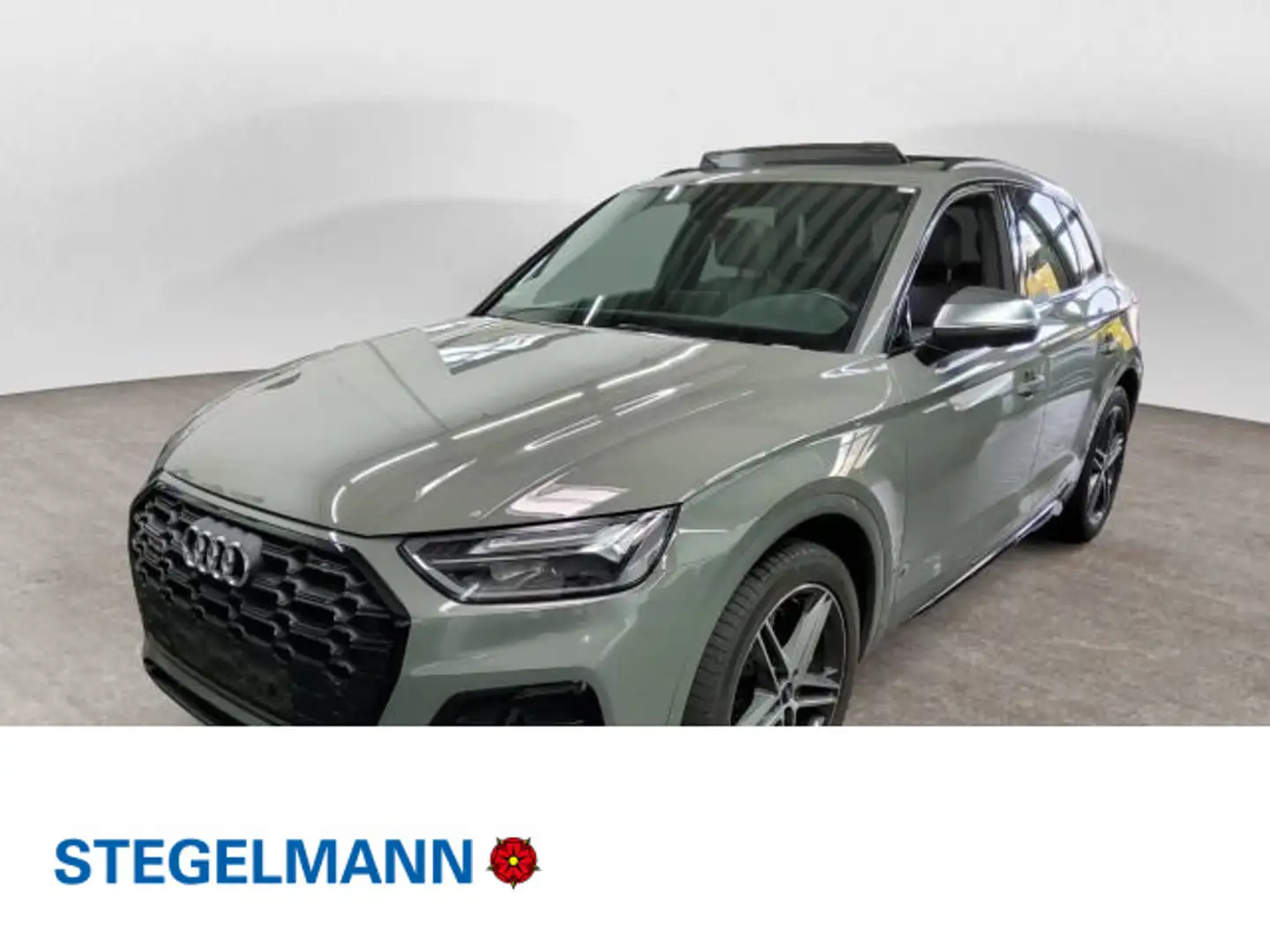 Audi SQ5 3.0 TDI Tiptr. *LED*Pano*Standhzg*Navi* Grau - 1
