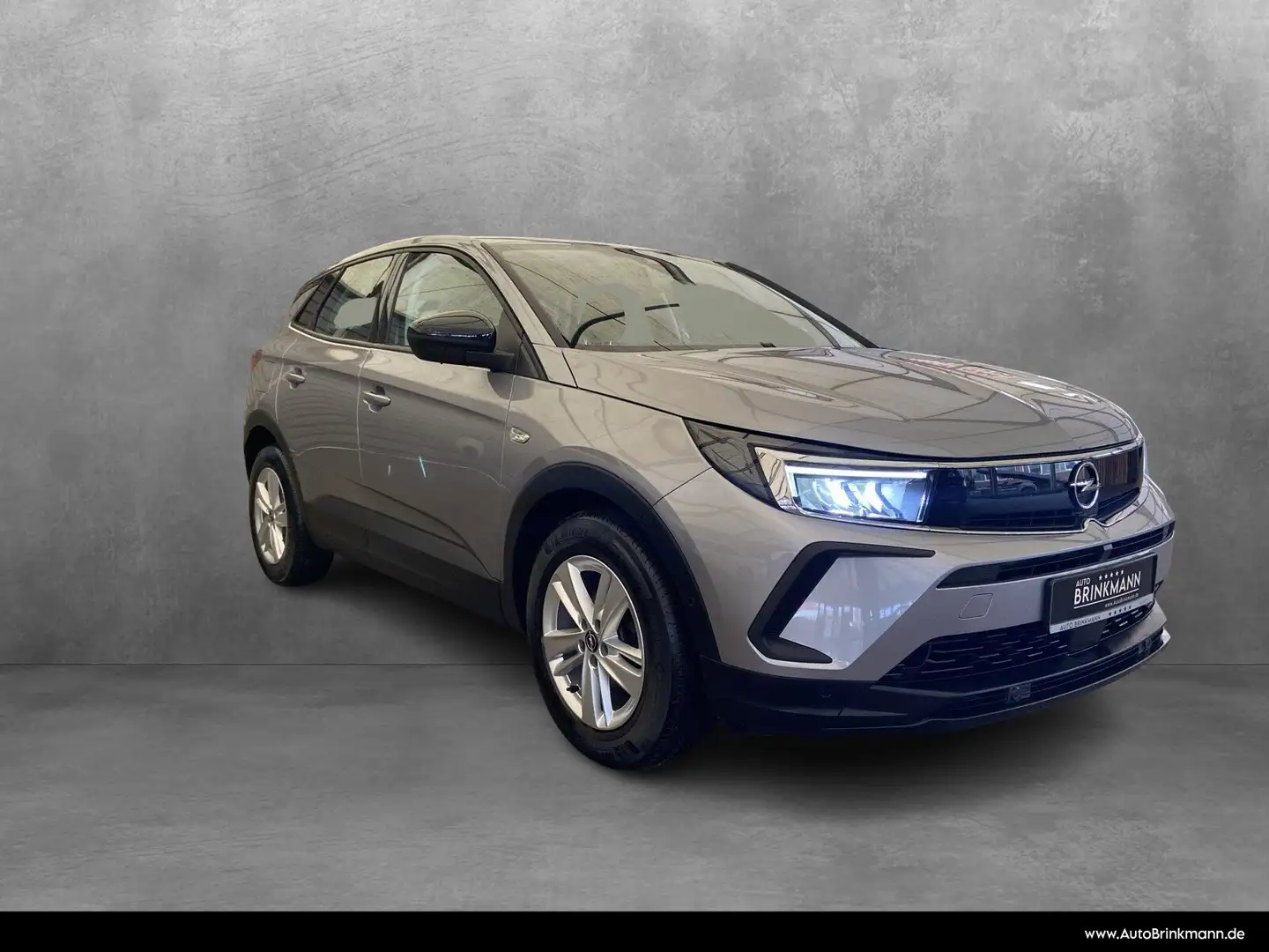 Opel Grandland Grandland 1.2 Turbo (EURO 6d) AHK/SHZ Grau - 2
