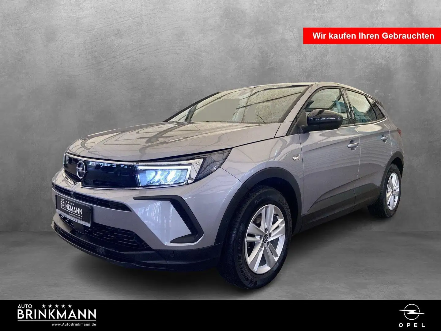 Opel Grandland Grandland 1.2 Turbo (EURO 6d) AHK/SHZ Grau - 1