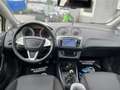 SEAT Ibiza Sport Grün - thumbnail 10