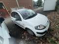 Citroen C3 C3 Pluriel 1.4 hdi D Bianco - thumbnail 4