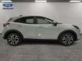 Ford Puma 1.0 EcoBoost MHEV Titanium 125 Grau - thumbnail 6