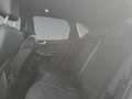 Ford Kuga 2,5 Duratec PHEV ST-Line X Aut. Blau - thumbnail 13