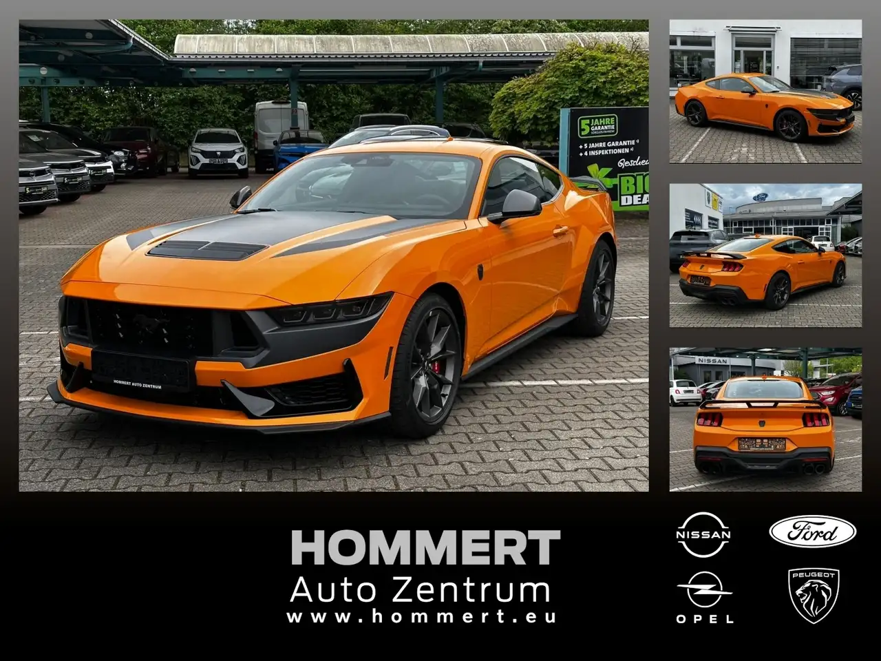 Ford Mustang 5.0 Fastback Ti-VCT V8 W Dark Horse ACC фото 3