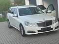 Mercedes-Benz E 220 E 220 T CDI DPF BlueEFFICIENCY 7G-TRONIC Avantgard - thumbnail 4