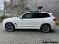 BMW X3 M40i Navi Pano HUD AHK Std-Hzg. Driving Park-Assis Blanco - thumbnail 2